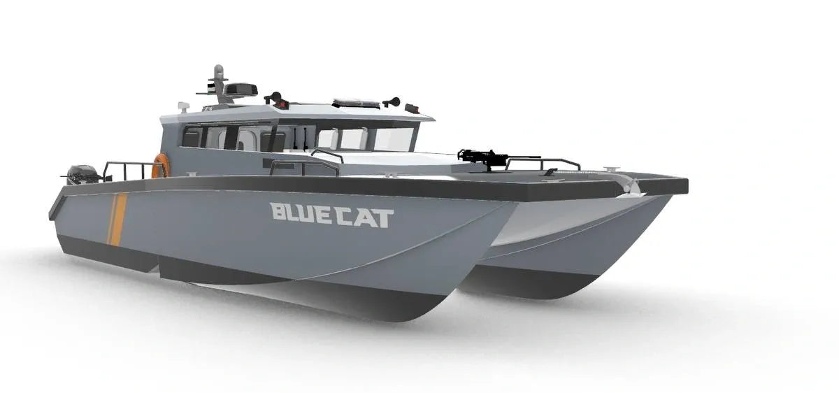 cat catamaran boat